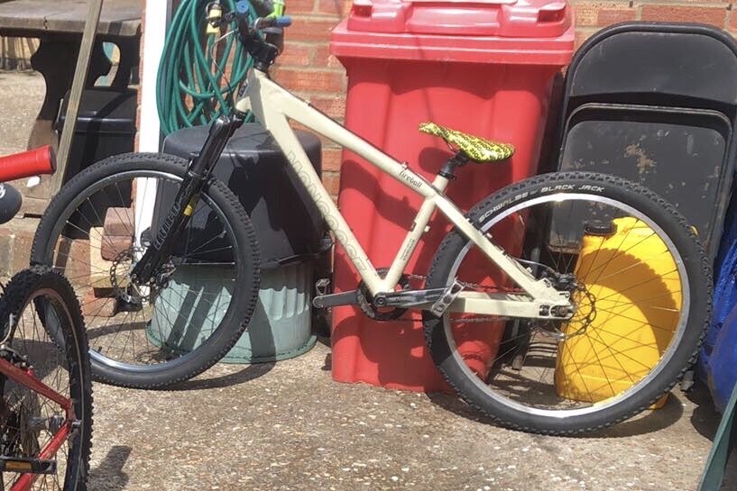 mongoose fireball pro